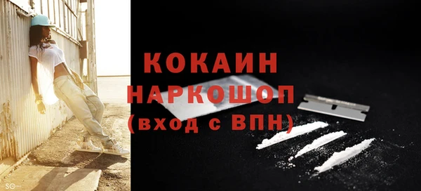 ПСИЛОЦИБИНОВЫЕ ГРИБЫ Бородино