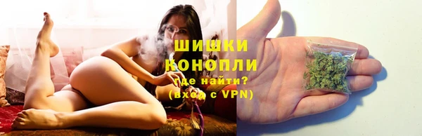 ПСИЛОЦИБИНОВЫЕ ГРИБЫ Бородино