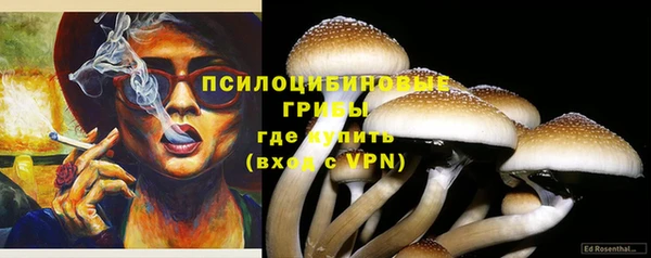 ПСИЛОЦИБИНОВЫЕ ГРИБЫ Бородино