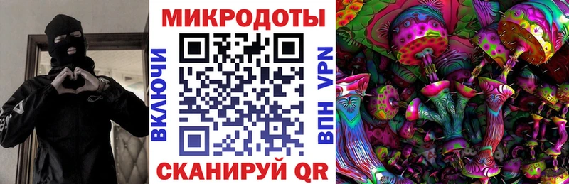 дарк нет формула Ессентукская Псилоцибиновые грибы Cubensis